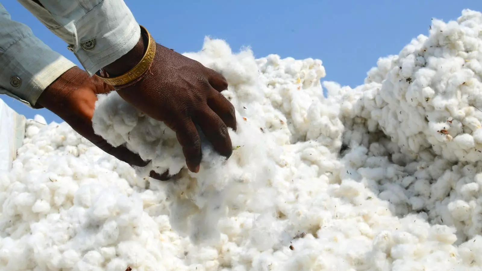 India Launches ₹5,659 Crore Cotton Mission to Boost Textile Competitiveness